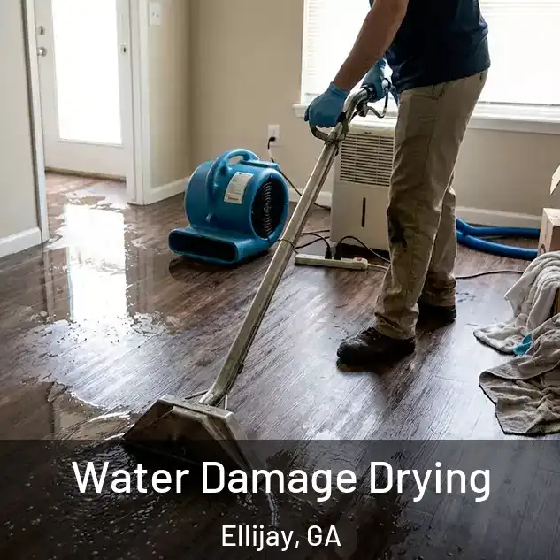  Water Damage Drying Ellijay, GA