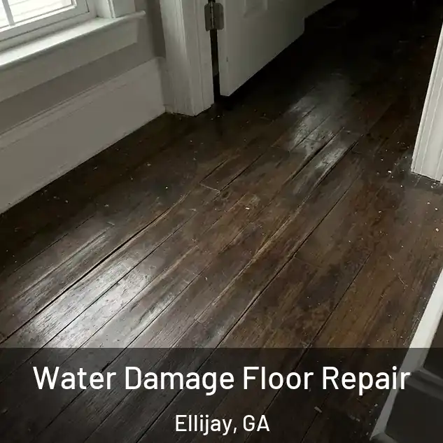  Water Damage Floor Repair Ellijay, GA