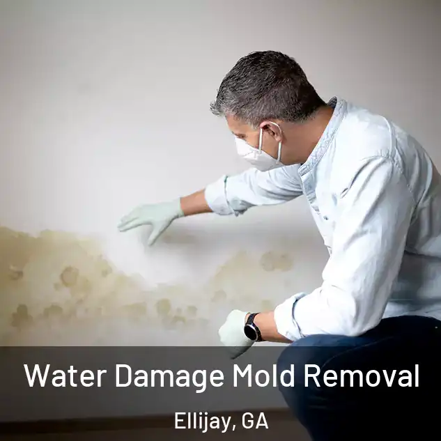  Water Damage Mold Removal Ellijay, GA
