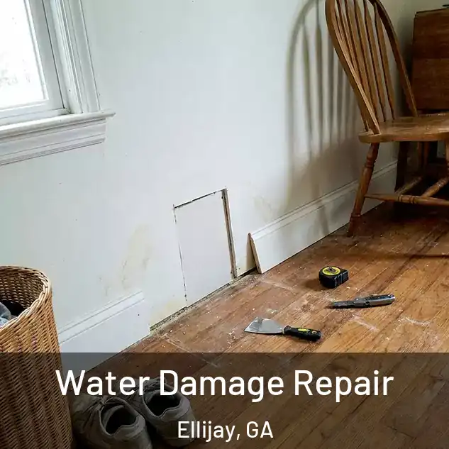  Water Damage Repair Ellijay, GA