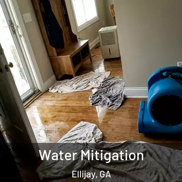  Water Mitigation Ellijay, GA