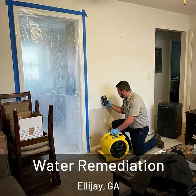  Water Remediation Ellijay, GA