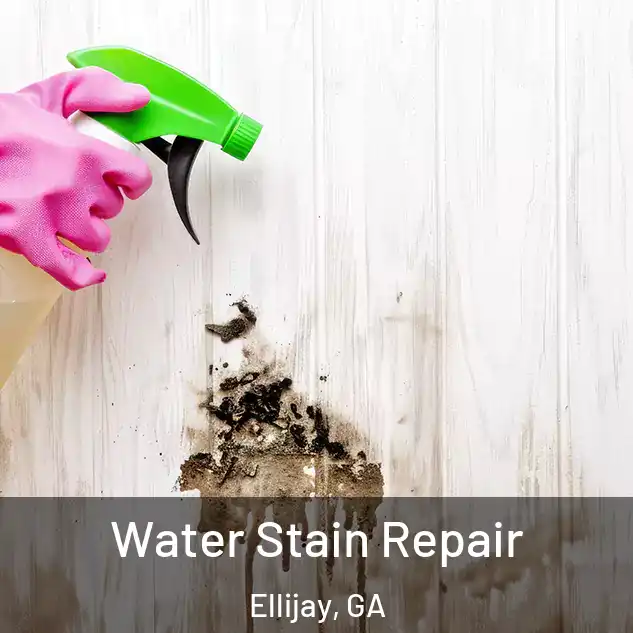  Water Stain Repair Ellijay, GA