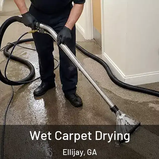  Wet Carpet Drying Ellijay, GA